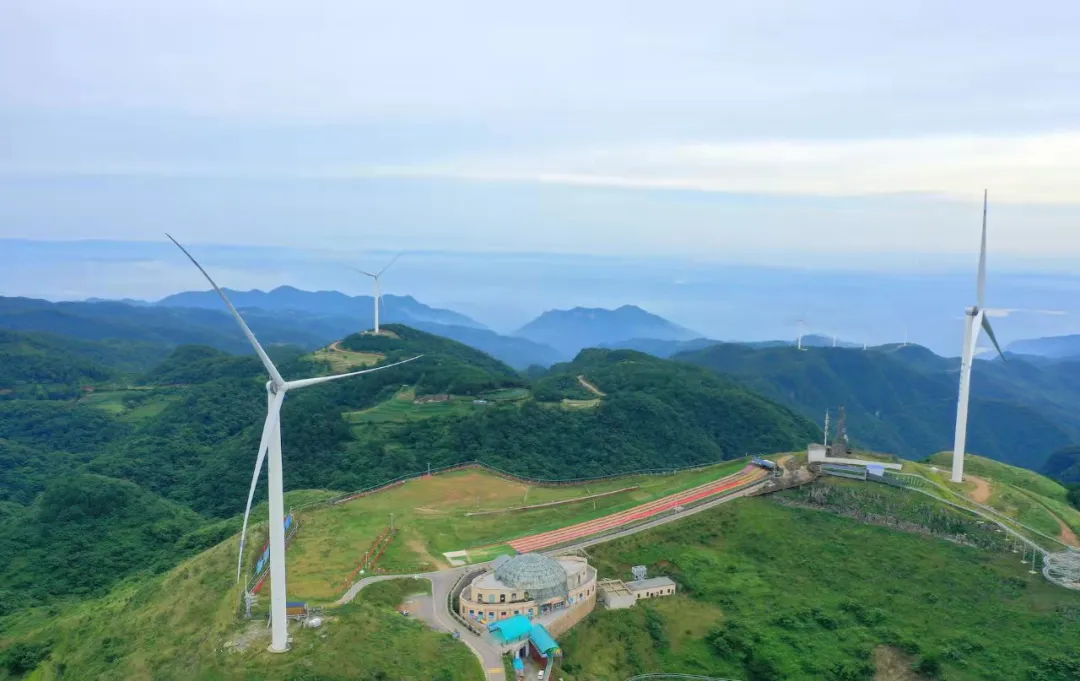 國常會：糾正“一刀切”停產限產、“運動式”減碳